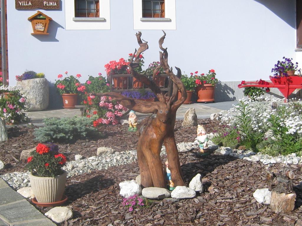 Hotel Villa Plinia Pragelato Extérieur photo